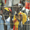الجمهور السوداني .. هروب جماعي إلى دوريات أوروبا