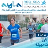 بدء التسجيل لـ "أيلة نصف ماراثون البحر الأحمر"