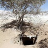 ماركر: مرسى يغضب حماس بإغراق الأنفاق ماركر: مرسى يغضب حماس بإغراق الأنفاق