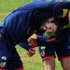 فابريغاس يعتبر تصرفات بيكيه "الصبيانية" تحديا حقيقيا - كرة القدم - كأس أوروبا 2012