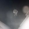 مجهول يحاول حرق مسجد تركي في فرنسا (فيديو)