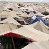 الانتربول: لا بلاغ عن مفقودة بأوصاف الطفلة "لغز" مخيم الروما اليونانى