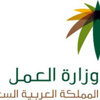 تغطي المنشآت العملاقة والمدارس الأهلية بغض النظر عن حجمها «العمل»: التطبيق الإلزامي لبرنامج حماية الأجور في شوال المقبل