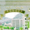 "الجلطة القلبية" بجامعة أم القرى