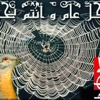 الهجرة النبوية لنشر دين الله