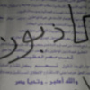 ائتلاف شباب الثورة بالمحلة يتوعد «المضللين» من مؤيدي الدستور