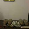 ضبط عاطلين بـ12 كيلو بانجو وسلاح نارى بالإسماعيلية