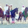 إقبال متزايد على مهرجان ينقل السياحي