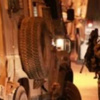 حملة مداهمات واسعة بمدينة الخليل
