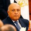سامح شكري: جائحة كورونا أتاحت فرصة تعزيز التعاون بين الدول الأفريقية