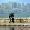 إعادة فتح طريق «الاسكندرية الصحراوي» بعد تعطيله بسبب سقوط شجرة