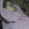 أكثر من خمسين قتيلا بغارة للنظام على الغوطة الشرقية