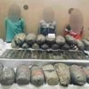 ضبط 21 قضية اتجار في المواد المخدرة خلال 24 ساعة ضبط 21 قضية اتجار في المواد المخدرة خلال 24 ساعة