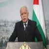 المالكي: مجلس وزراء الخارجية العرب دعم التحرك الفلسطيني للتصدي لخطة ترامب