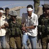 قوات الاحتلال تعتقل ثلاثة فلسطينيين قوات الاحتلال تعتقل ثلاثة فلسطينيين