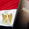 القضاء المصري يباشر محاكمة شابة تظاهرت عارية اعتراضاً على الدستور