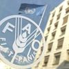 الفاو: ارتفاع الأسعار العالمية للأغذية للشهر العاشر على التوالي الفاو: ارتفاع الأسعار العالمية للأغذية للشهر العاشر على التوالي