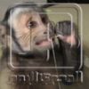 صحيفة "غلوبال تايمز": وفاة أول حالة إصابة بشرية في الصين بـ"الفيروس القردي B" صحيفة "غلوبال تايمز": وفاة أول حالة إصابة بشرية في الصين بـ"الفيروس القردي B"