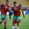 الفيفا تسلط الضوء على إقصاء الأسود الفيفا تسلط الضوء على إقصاء الأسود