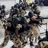 المقالة وحماس يهنئان مصر بتحرير الجنود ويعتبرانه انجازا للجيش