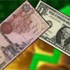الدولار يواصل انهياره أمام الجنيه المصري