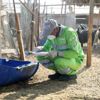 "تدوير" تعلن نتائج عمل إدارة مكافحة آفات الصحة العامة خلال الربع الثالث من 2020 "تدوير" تعلن نتائج عمل إدارة مكافحة آفات الصحة العامة خلال الربع الثالث من 2020