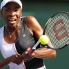 عودة قوية لفينوس وليامس وكلايسترز - تنس - WTA ميامي