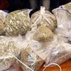 ضبط 5 طن بانجو ببورسعيد ضبط 5 طن بانجو ببورسعيد