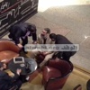 ننشر تفاصيل مؤتمر "النور" للرد على الرئاسة
