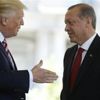 مسؤول تركي: أردوغان قد يلتقي مع ترامب قريبا