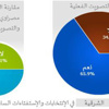 31 % يرفضون الدستور بالشرقية