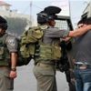قوات الاحتلال الإسرائيلي تعتقل 19 فلسطينيًا بالضفة الغربية قوات الاحتلال الإسرائيلي تعتقل 19 فلسطينيًا بالضفة الغربية