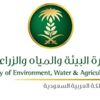 تجهيز الوحدات البيطرية للكشف على المواشي المنقولة للمشاعر تجهيز الوحدات البيطرية للكشف على المواشي المنقولة للمشاعر