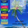 الطائرة النصراوية تواصل التحليق بعد فوزها على الشرقاوي العنيد