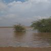 حوادث الطقس السيئ تتواصل: مصرع 5 وإصابة 7 حوادث الطقس السيئ تتواصل: مصرع 5 وإصابة 7