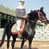 الخيل تتعرف على اصحابها من اصواتهم الخيل تتعرف على اصحابها من اصواتهم
