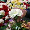 اتحاد كرة السلة ينعى والدة اللاعب يحيى الخطيب