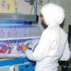 التدليك يقلل توتر الخدج