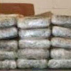 ضبط كيلو بانجو بمنزل فلاح بقرية "التناغة الغربية" فى أسيوط