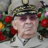الجزائر: هل تنجح مبادرة بن صالح الجديدة فيما فشلت فيه سابقاتها؟