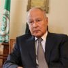 أبو الغيط: إنقاذ لبنان أولوية وعلى كافة الأطياف السياسية تنحية الخلافات