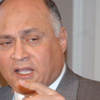 جميل سعيد: سليمان غير متهم فى قضايا أخرى ونتخذ إجراءات إخلاء سبيله