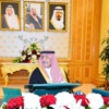 الموافقة على قواعد وإجراءات عمل لجان فصل المنازعات