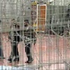 مبادرة أميركية: تمديد المفاوضات والإفراج عن بولارد و26 أسيرا فلسطينيا
