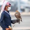 "مهرجان الصقور": 192 صقاراً يتنافسون على 6 أشواط غداً