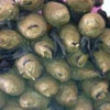 القبض على حارس عقار وبحوزته 2.5 كيلو بانجو بالنزهة