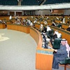 صفاء : الاخوان يريدون اسقاط الحكم صفاء : الاخوان يريدون اسقاط الحكم