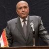 بعد إعلان سبب سقوط الطائرة الروسية.. شكري يبحث مكافحة الإرهاب مع لافروف