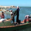 وقف الصيد بخليج السويس تنفيذا لقرار هيئة الثروة السمكية