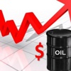 سعر البرنت يرتفع إلى 31.14 دولار في الأسواق الآسيوية